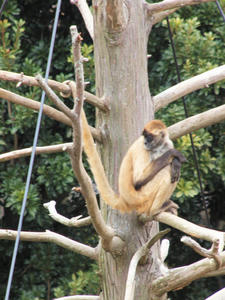 20100211_1024shuusei.jpg