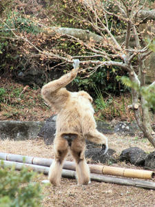 20100211_986shuusei.jpg