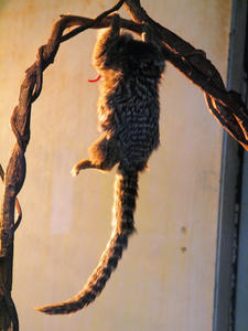 20100211_142shuusei.jpg