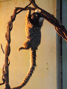 20100211_149shuusei.jpg