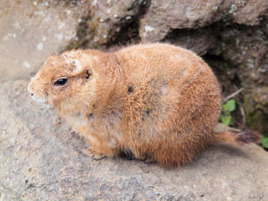 20100211_682shuusei.jpg