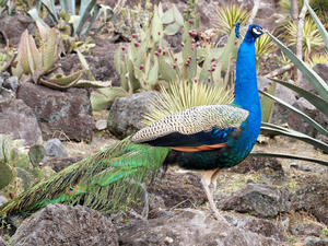 20100211_693shuusei.jpg