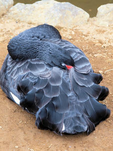 20100211_988shuusei.jpg