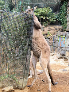 20100211_1000shuusei.jpg