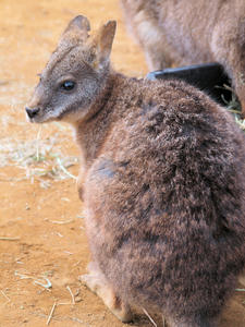 20100211_520shuusei.jpg