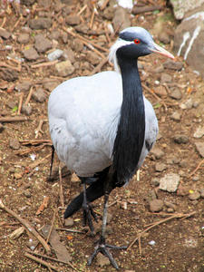 20100211_779shuusei.jpg