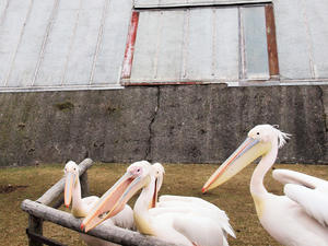 20100211_1062shuusei.jpg