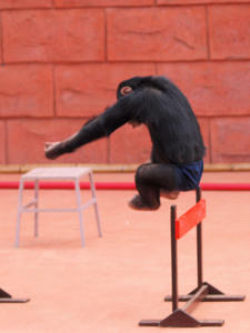 20100211_436shuusei.jpg