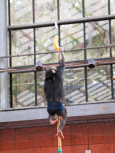 20100211_483shuusei.jpg