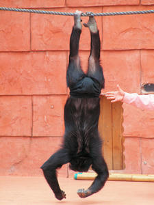 20100211_822shuusei.jpg