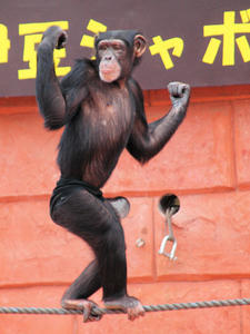 20100211_833shuusei.jpg