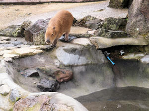 20100211_216shuusei.jpg
