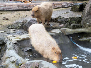 20100211_251shuusei.jpg