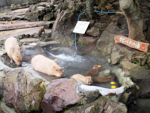 20100211_252shuusei.jpg