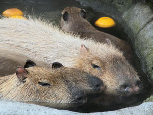 20100211_273shuusei.jpg