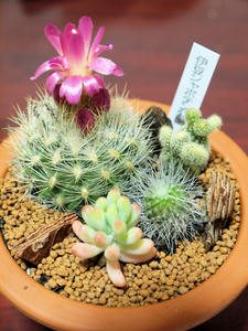 20100211_1133shuusei.jpg