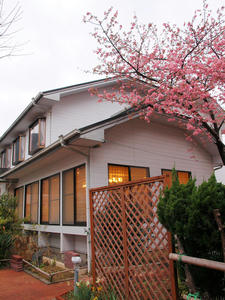 20100211_1142shuusei.jpg
