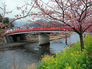 20100211_1144shuusei.jpg