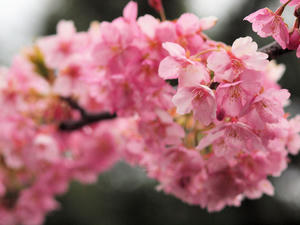 20100211_1146shuusei.jpg