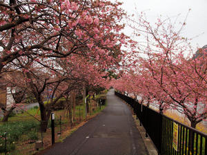 20100211_1150shuusei.jpg