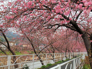 20100211_1171shuusei.jpg