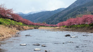 20100211_1179shuusei.jpg