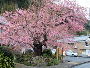 20100211_1188shuusei.jpg