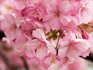 20100211_1208shuusei.jpg