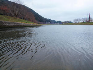 20100211_1235shuusei.jpg