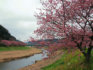 20100211_1236shuusei.jpg