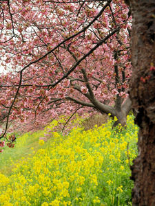 20100211_1244shuusei.jpg