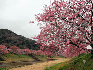 20100211_1256shuusei.jpg