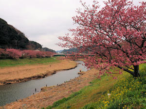 20100211_1266shuusei.jpg