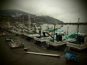 20100211_1354shuusei.jpg