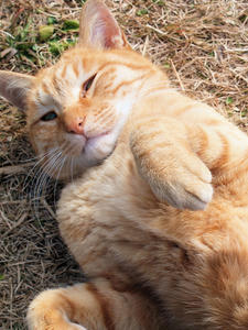 20100126_601shuusei2.jpg