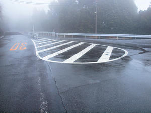 20100211_1361shuusei.jpg