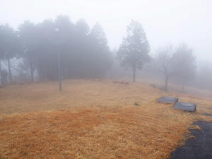 20100211_1367shuusei.jpg