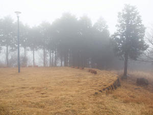 20100211_1368shuusei.jpg