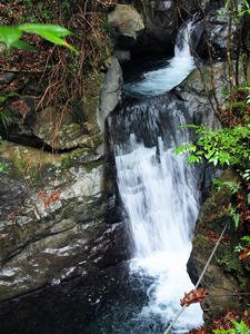 20100211_1419shuusei.jpg