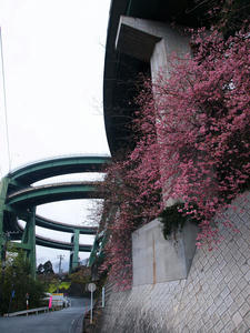 20100211_1394shuusei.jpg