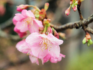 20100211_1390shuusei.jpg