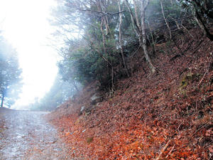 20100211_1496shuusei.jpg
