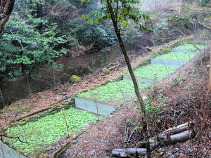 20100211_1498shuusei.jpg