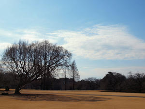 20100224_43shuusei.jpg