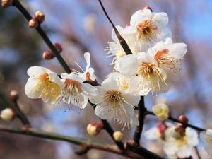 20100224_1shuusei.jpg