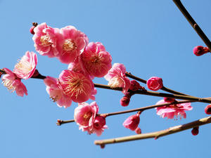 20100224_7shuusei.jpg