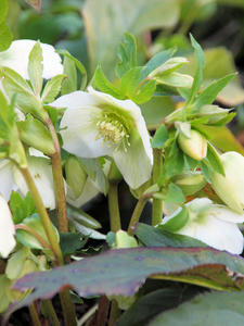 20100224_19shuusei.jpg