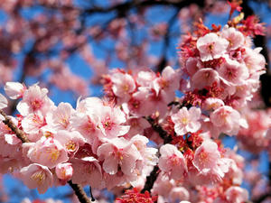 20100224_27shuusei.jpg