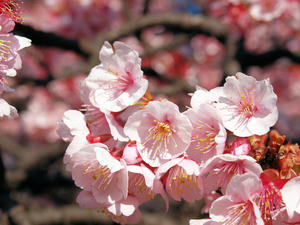 20100224_23shuusei.jpg