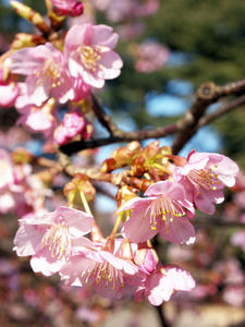 20100224_30shuusei.jpg